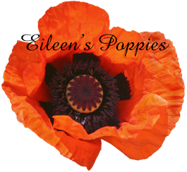 Poppy logo